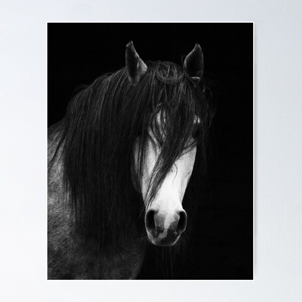 Item preview, Wild Horses, White horse, Horse print, Horse art, Wall art, Wall decor, Trendy print, Animal print, Interior designed and sold by juliaemelian.
