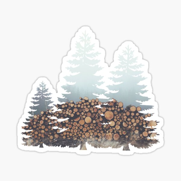 Sticker pile of sawed birch logs 