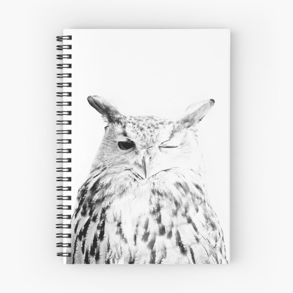 Item preview, Owl print, Bird print, Scandinavian, Nordic, Marble, Trendy print, Styled, Scandinavian art, Modern art, Wall art, Print, Minimalistic, Modern designed and sold by juliaemelian.