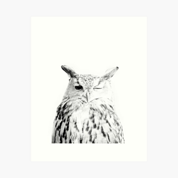Item preview, Owl print, Bird print, Scandinavian, Nordic, Marble, Trendy print, Styled, Scandinavian art, Modern art, Wall art, Print, Minimalistic, Modern designed and sold by juliaemelian.