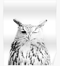 Eulen-Print, Vogel Print, Skandinavisch, Nordic, Marmor, Trendy Print, Stil, skandinavische Kunst, moderne Kunst, Wandkunst, Print, minimalistisch, Modern Poster