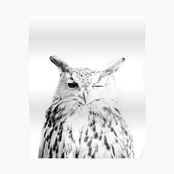 Owl print, Bird print, Scandinavian, Nordic, Marble, Trendy print, Styled, Scandinavian art, Modern art, Wall art, Print, Minimalistic, Modern Poster