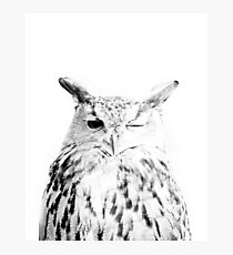 Owl print, Bird print, Scandinavian, Nordic, Marble, Trendy print, Styled, Scandinavian art, Modern art, Wall art, Print, Minimalistic, Modern Photographic Print
