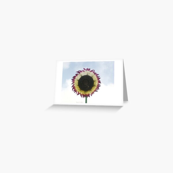 The Adventures of the Wild Flower Greeting Card