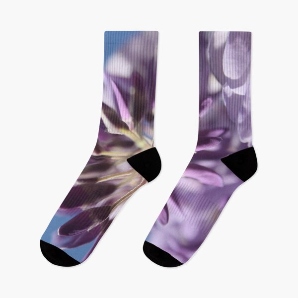 Item preview, Wisteria Floribunda Purple And Lilac Flower Buds designed and sold by taiche.