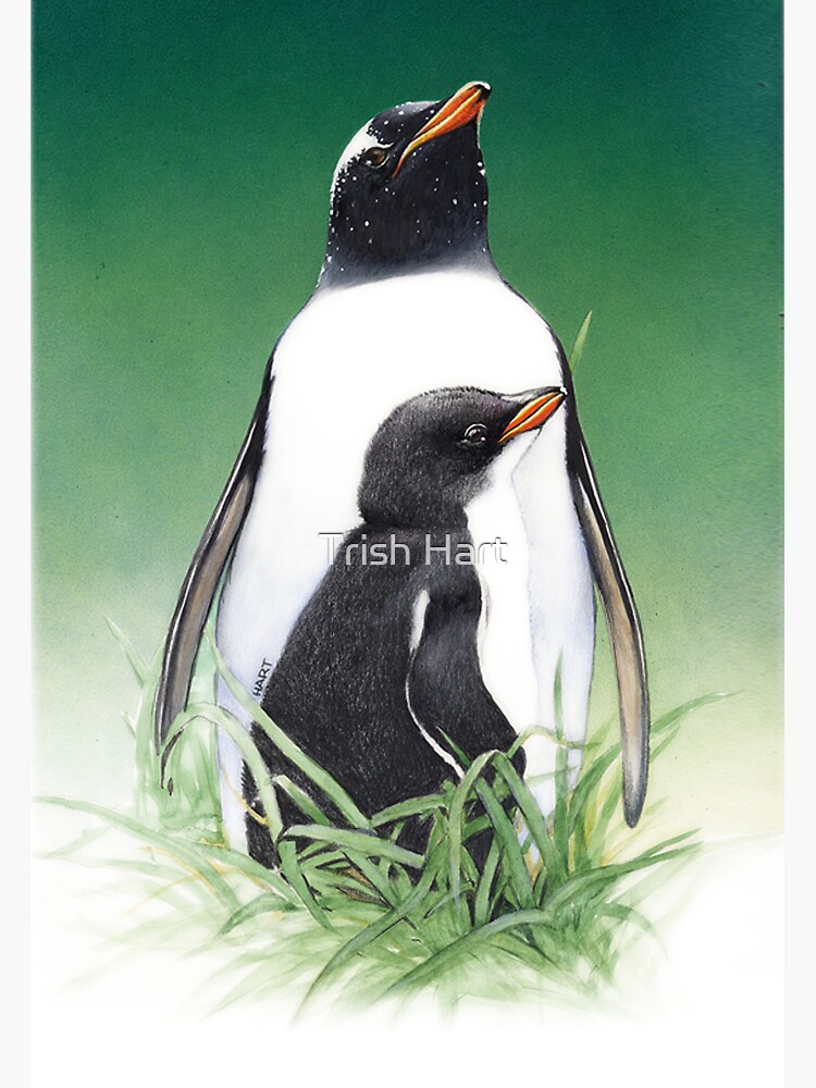 Pingouin de Gentoo