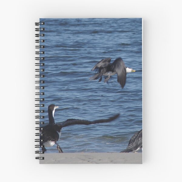 Item preview, Cormorants At Safety Bay designed and sold by lezvee.