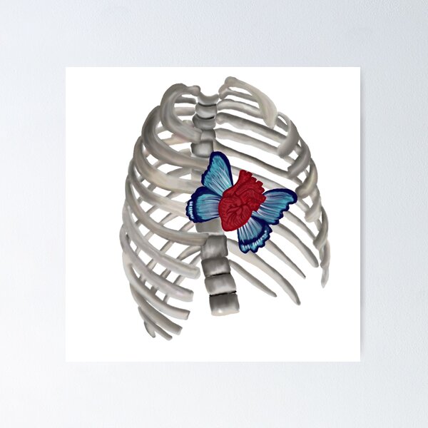 Item preview, A heart and a ribcage designed and sold by livvysophie.