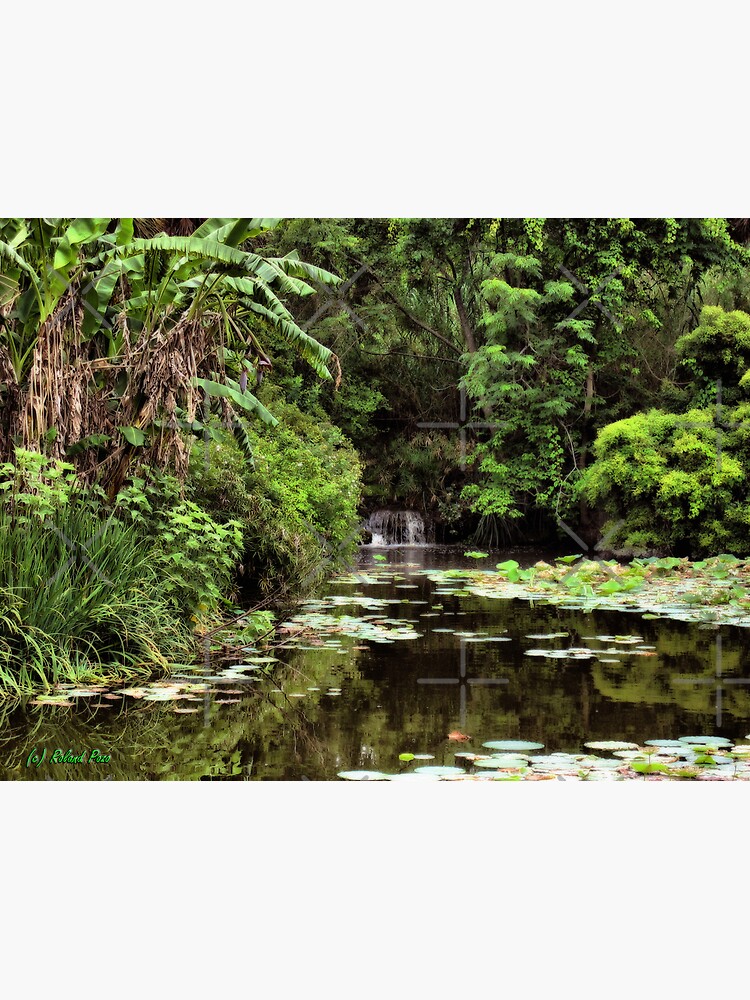 Cascade in the Pond by photorolandi