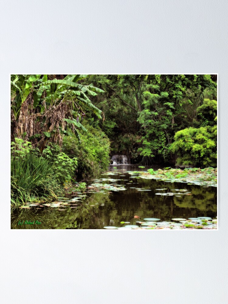 Alternate view of Cascade in the Pond Poster