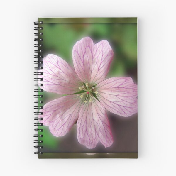 Item preview, Five Pink Petals - Tiny Flower in Mirrored Frame designed and sold by BlueMoonRose.
