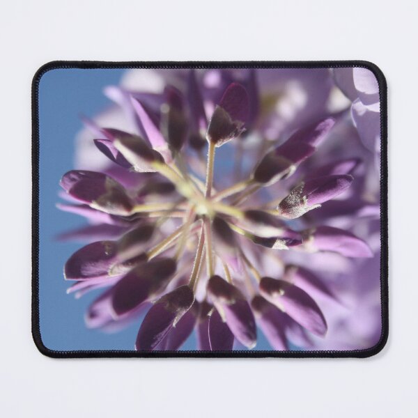 Item preview, Wisteria Floribunda Purple And Lilac Flower Buds designed and sold by taiche.