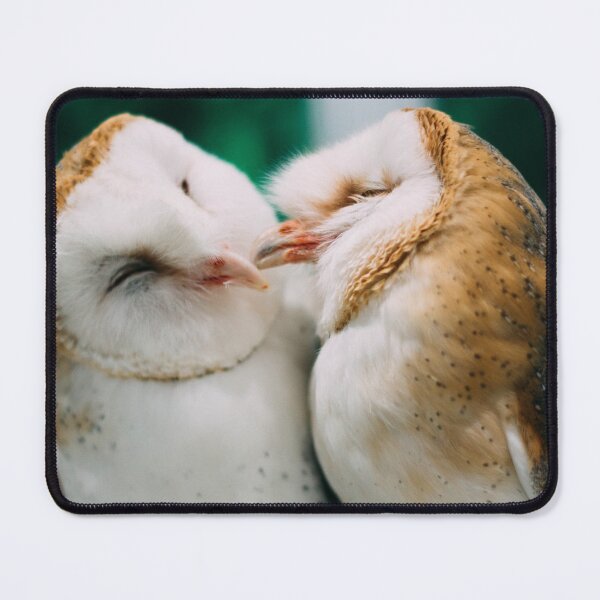 Item preview, Kissing Birds - A Pair of Fluffy Owls Cooing and Kissing - Owls Preen Each Other With Love designed and sold by sthNnth.