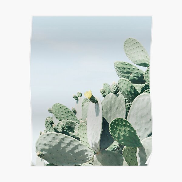 Plant print, Cacti, Cactus print, Scandinavian print, Scandinavian, Trendy print, Styled, Scandinavian art, Modern art, Wall art, Print, Minimalistic, Modern Poster