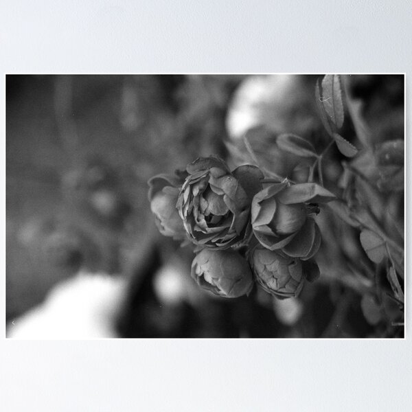 Item preview, Loving Cooperation between Mother Nature and Father Frost designed and sold by Zeanana.