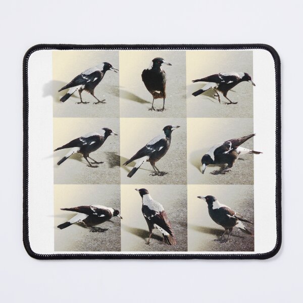 Item preview, 9 Magpies designed and sold by Trish Hart.