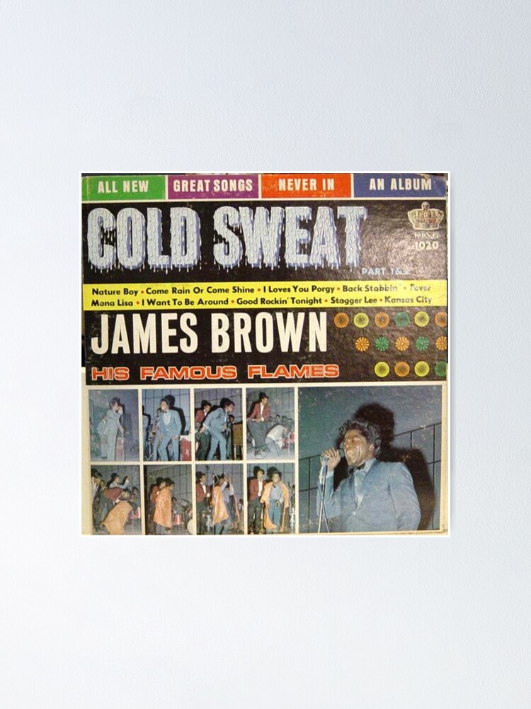 Poster　Sale　James　Soul,　Famous　Funk,　Brown,　Vintaged　lp