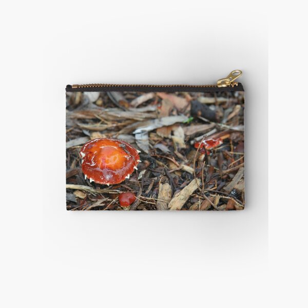 Item preview, Toadstool with resident aggressive spider designed and sold by Maggie Hegarty.