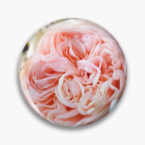 Item preview, Light pink rose designed and sold by Ms-Bexy.