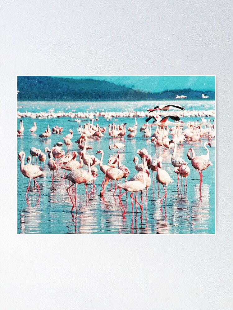 Poster Flamant Rose Flamants Roses Mer Ocean Art Moderne Art Mural Imprimer Minimaliste Moderne Par Juliaemelian Redbubble