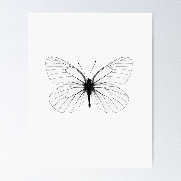 Item preview, Butterfly print, Insect print, Scandinavian print, Scandinavian, Trendy print, Styled, Scandinavian art, Modern art, Wall art, Print, Minimalistic, Modern designed and sold by juliaemelian.