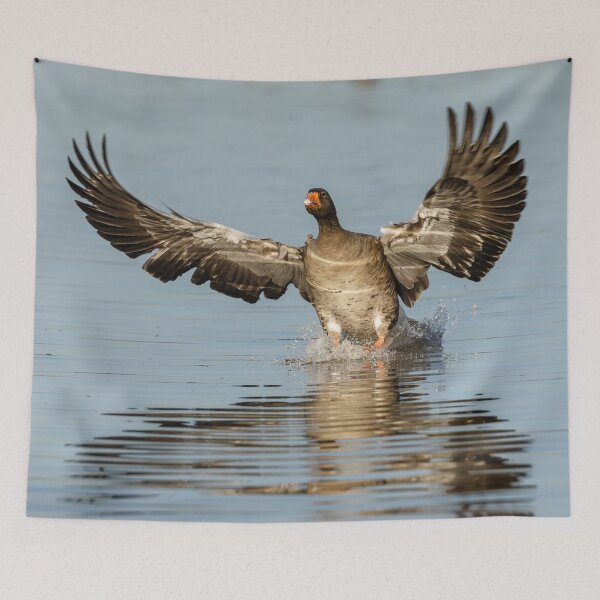 Item preview, Coming into land! well water! designed and sold by Dalyndigital Photography.