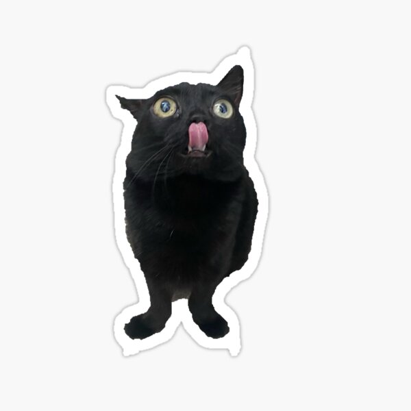 Item preview, Bigfootjinx - A Weird Cat  designed and sold by EpicCreation.