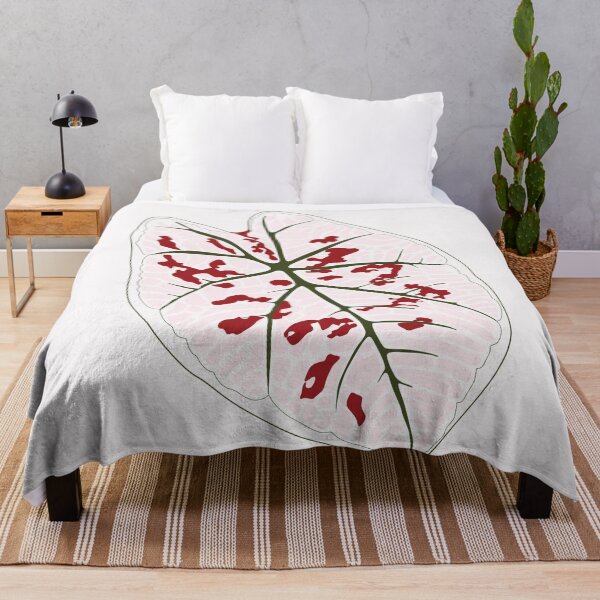 Item preview, Caladium Strawberry Star Leaf designed and sold by zykydesigns.
