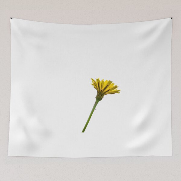 Item preview, Dandelion flower underside selective focus isolated on white designed and sold by Brian Scantlebury.