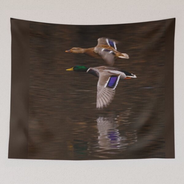 Item preview, The flight of the Mallard designed and sold by Dalyndigital Photography.
