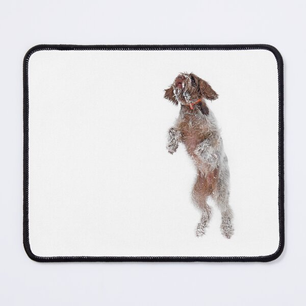 Item preview, Snow jumping Spinone designed and sold by FOLK ART FUSION by heidiannemorris.