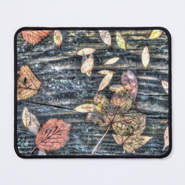 Item preview, Leaves on a bench designed and sold by Ms-Bexy.
