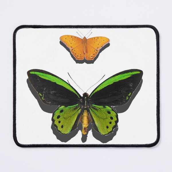 Item preview, Cairns birdwing butterfly, designed and sold by Trish Hart.