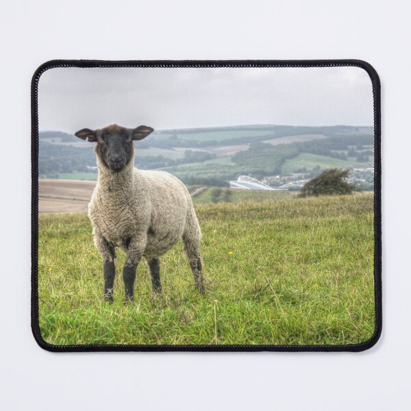 Item preview, Curious Sheep designed and sold by Ms-Bexy.