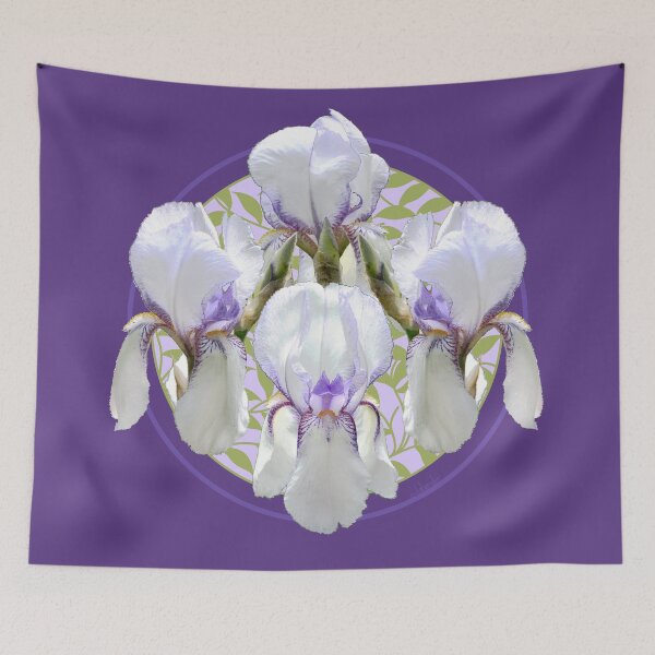 Item preview, Historic Tall Bearded Iris, 'Claribel' designed and sold by NatureNotes.