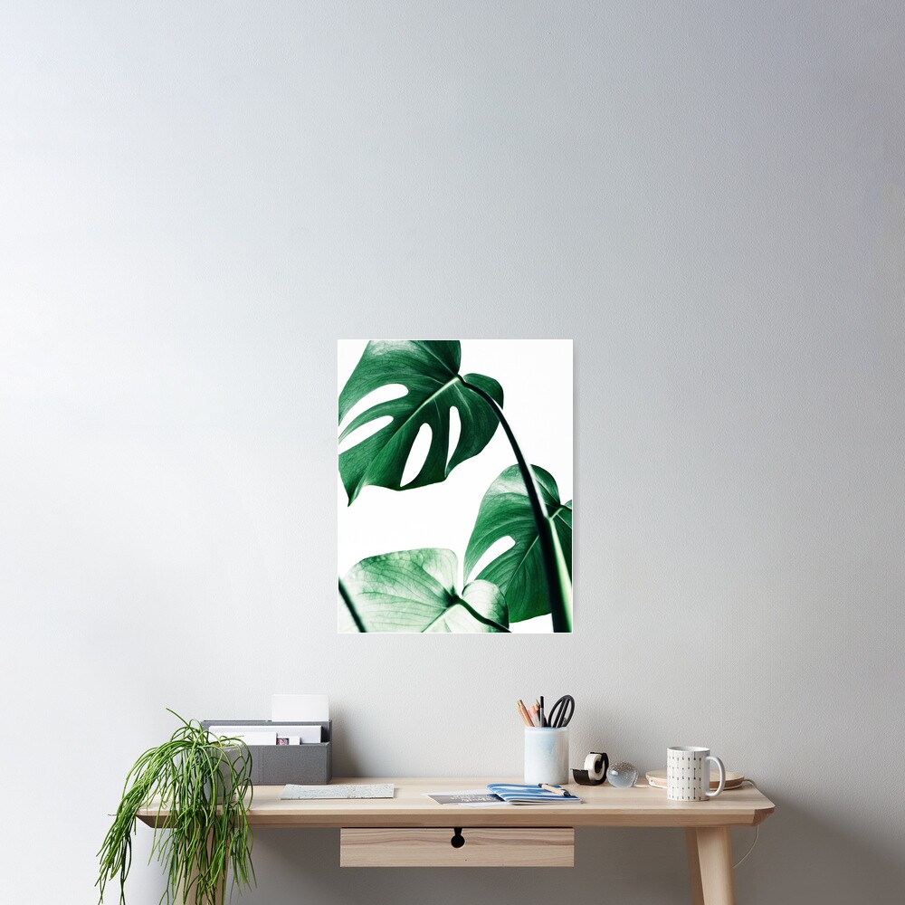 Monstera Blätter, tropische Blätter, grüne Blätter, Blatt, moderne Kunst, Wandkunst, Print, minimalistisch, modern, skandinavischen Druck Poster