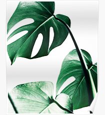 Monstera Blätter, tropische Blätter, grüne Blätter, Blatt, moderne Kunst, Wandkunst, Print, minimalistisch, modern, skandinavischen Druck Poster
