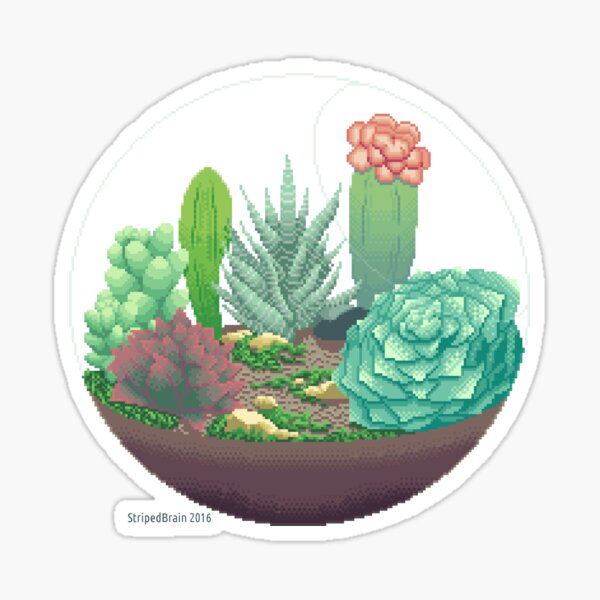 Succulent Terrarium Sticker