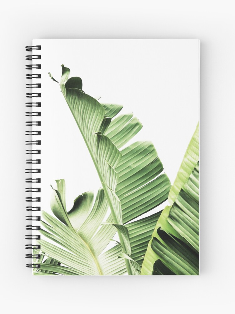 Banana Leaves Tropical Leaves Green Leaves Leaf Modern Art