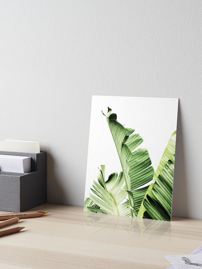 Banana Leaves Tropical Leaves Green Leaves Leaf Modern Art