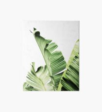 Lámina de exposición Hojas de plátano, Hojas tropicales, Hojas verdes, Hoja, Arte moderno, Arte de la pared, Impresión, Minimalista, Moderno, Escandinavo