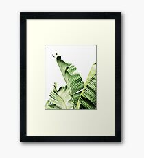 Banana leaves,Tropical leaves, Green leaves, Leaf, Modern art, Wall art, Print, Minimalistic, Modern, Scandinavian print Framed Print