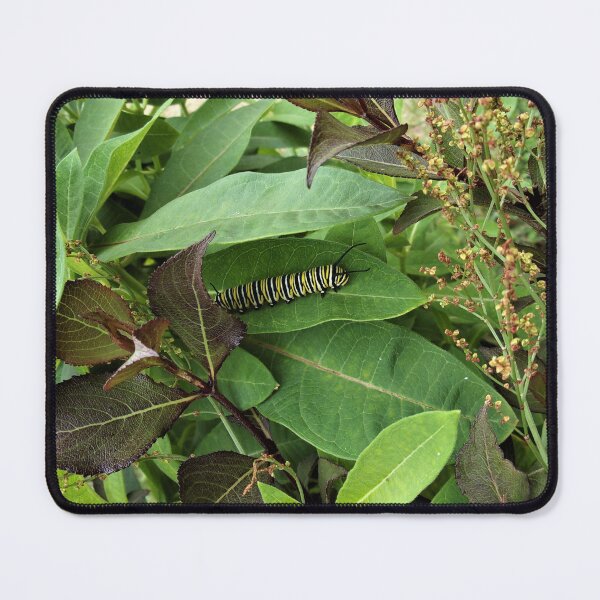 Item preview, Crawling Caterpillar  designed and sold by CJGrimes.
