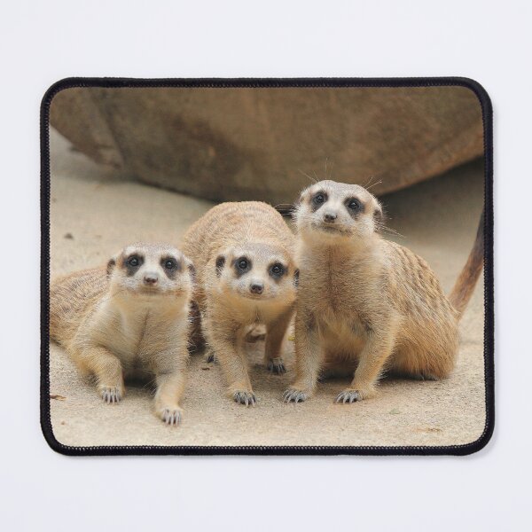 Item preview, Our Cuteness Comes In A Package Deal, 3 For 1! designed and sold by LeanneAllen.