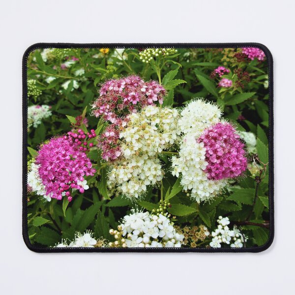 Item preview, Spirea Blooms designed and sold by CJGrimes.