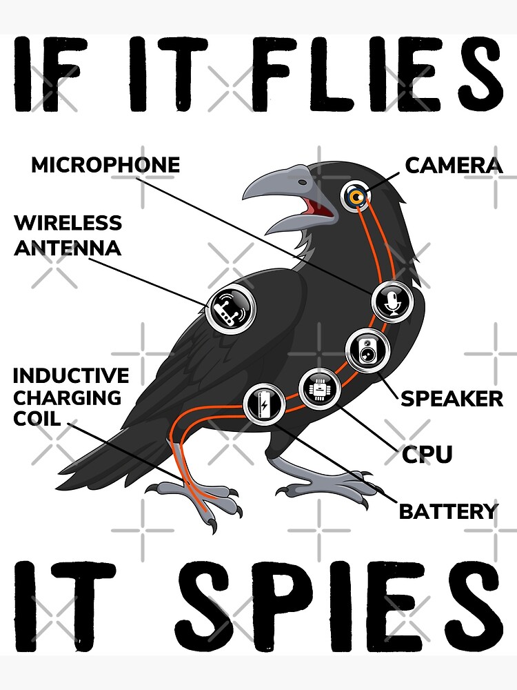 If It Flies It Spies, Crow Anatomy Bird Aren't Real Premium Matte