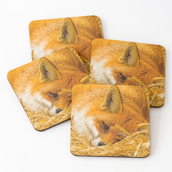 Item preview, Fox in the straw designed and sold by Dalyndigital Photography.