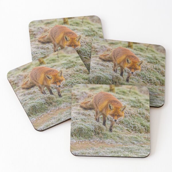 Item preview, Frosty fox  designed and sold by Dalyndigital Photography.