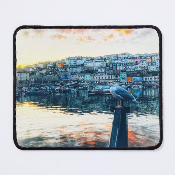 Item preview, Brixham Harbour Seagull by My Brixham designed and sold by mybrixham.