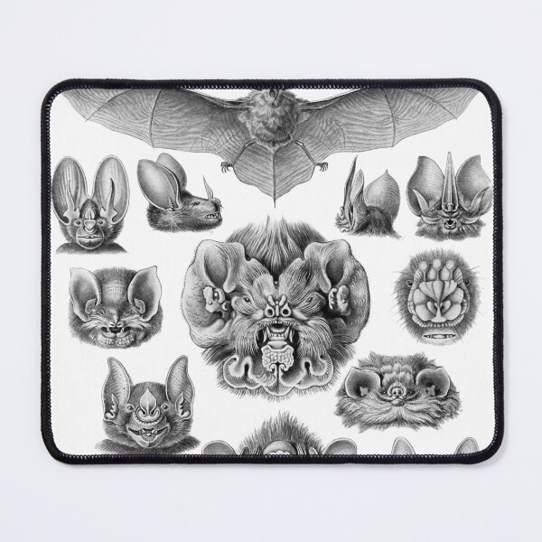 Item preview, Bats designed and sold by Vintage Wall Art.